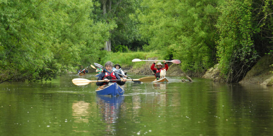 kayak-leo-trophy-2014-07