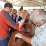 Stage de construction